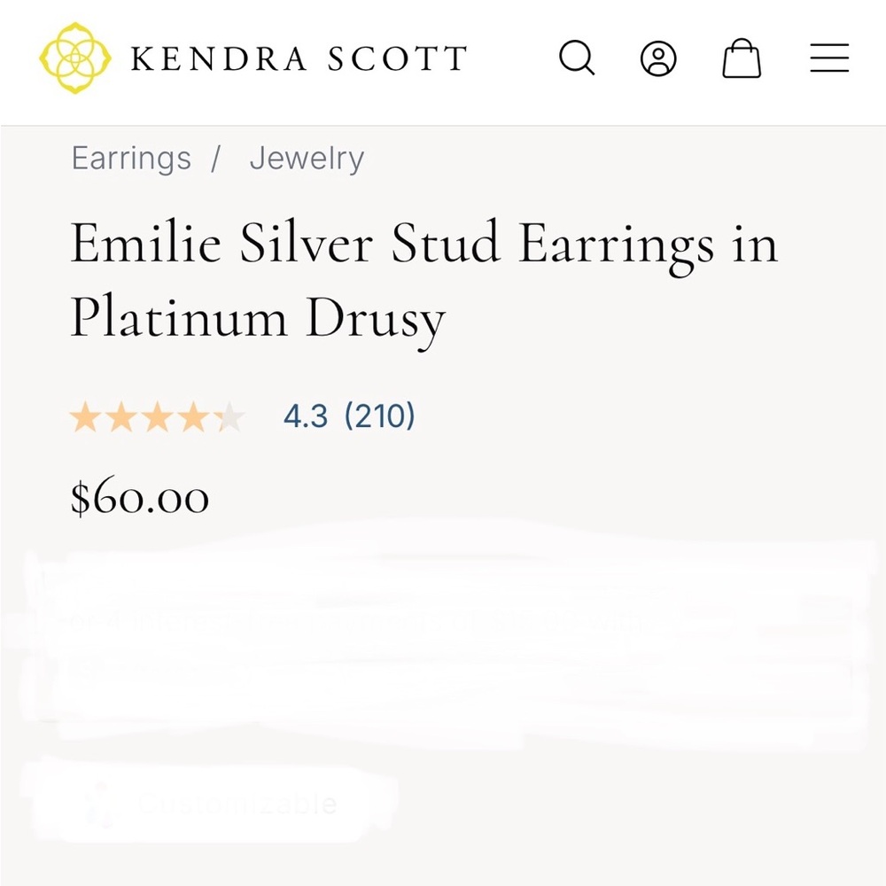 Kendra Scott Silver Stud Earrings in Platinum Drusy